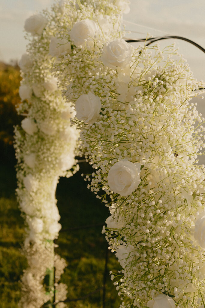 Floral wedding arch made of baby's breath and white roses, gently lit by golden light.