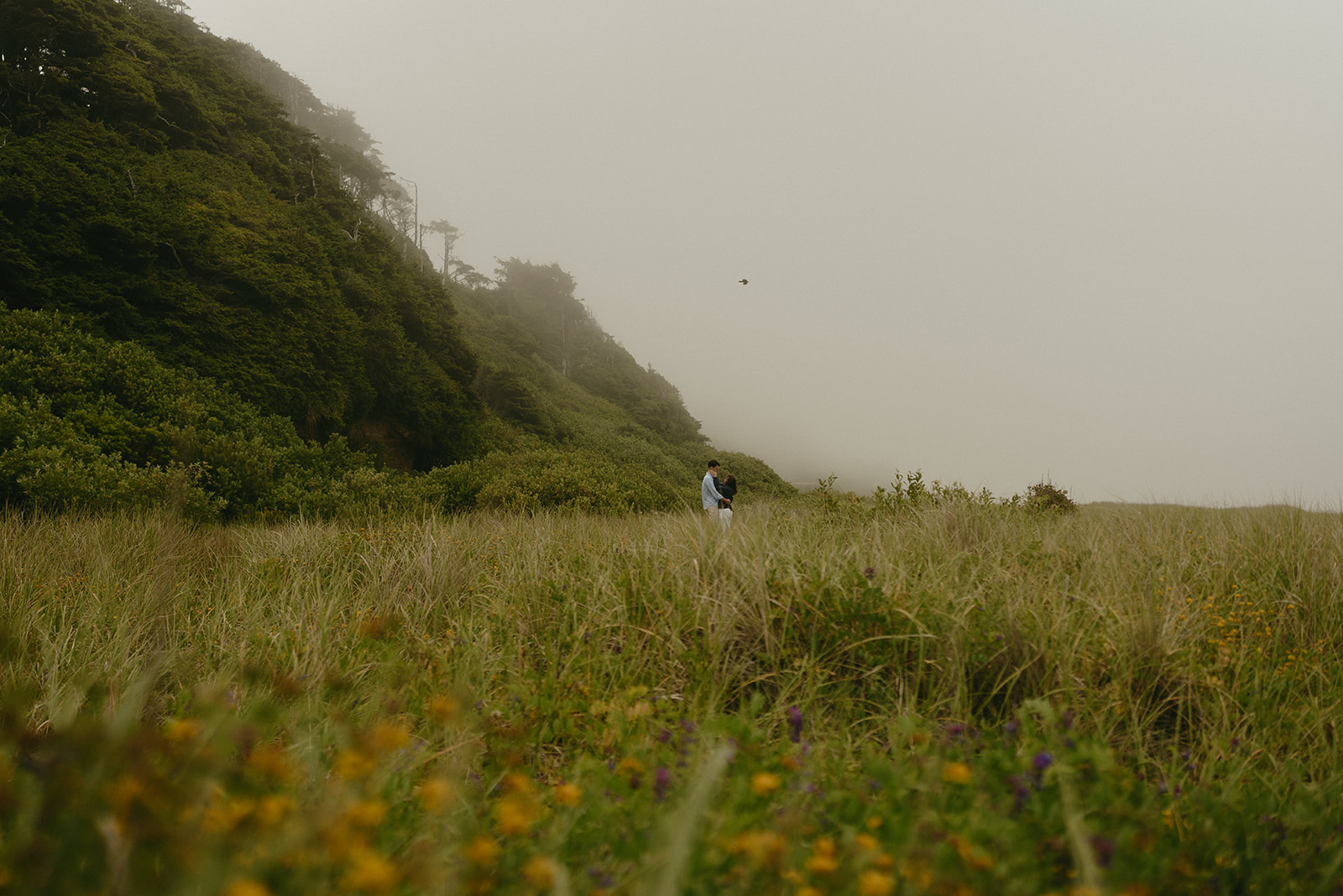 Couple embracing in the distance on a foggy coastal bluff, a quiet and romantic setting for ideas for engagement photos.