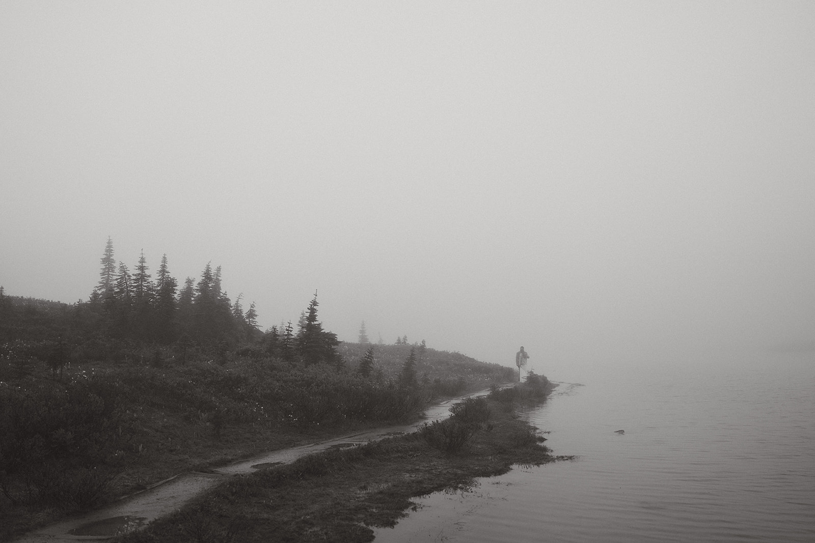 Foggy forest area in Mount Rainier before elopement with bride and groom walking on path