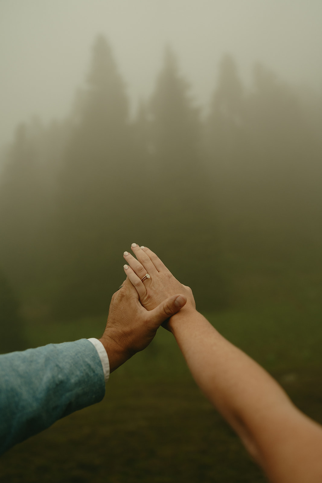 Two hands reaching toward each other in the fog, a simple and quiet gesture against the trees.
