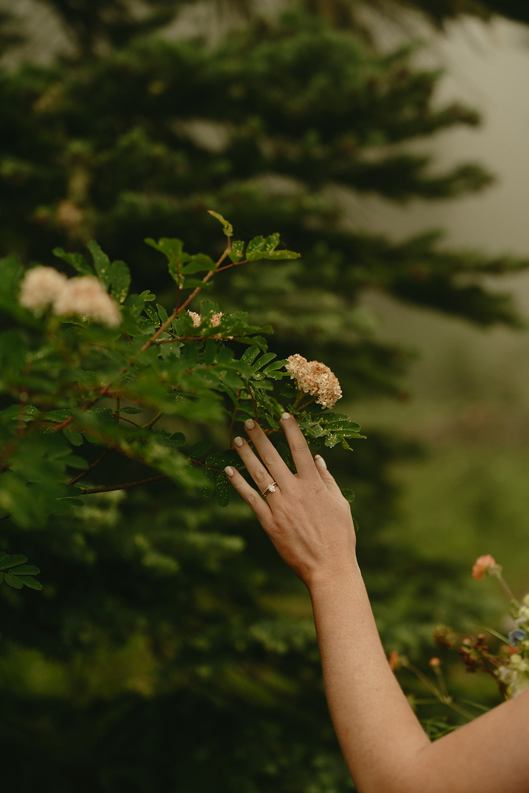 Bride’s hand reaching toward a flowering branch, her ring and bouquet visible in the soft light.