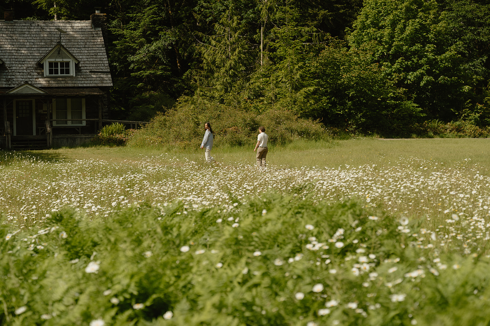 A couple walks through a wildflower field near a secluded forest cabin, sunlight spilling across the open meadow.