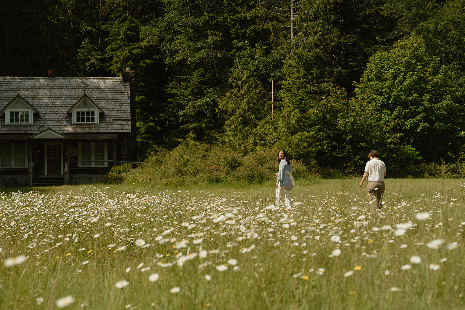 Framed by wild daisies, a couple walks side by side toward the forest, their cabin nestled behind them in the trees.