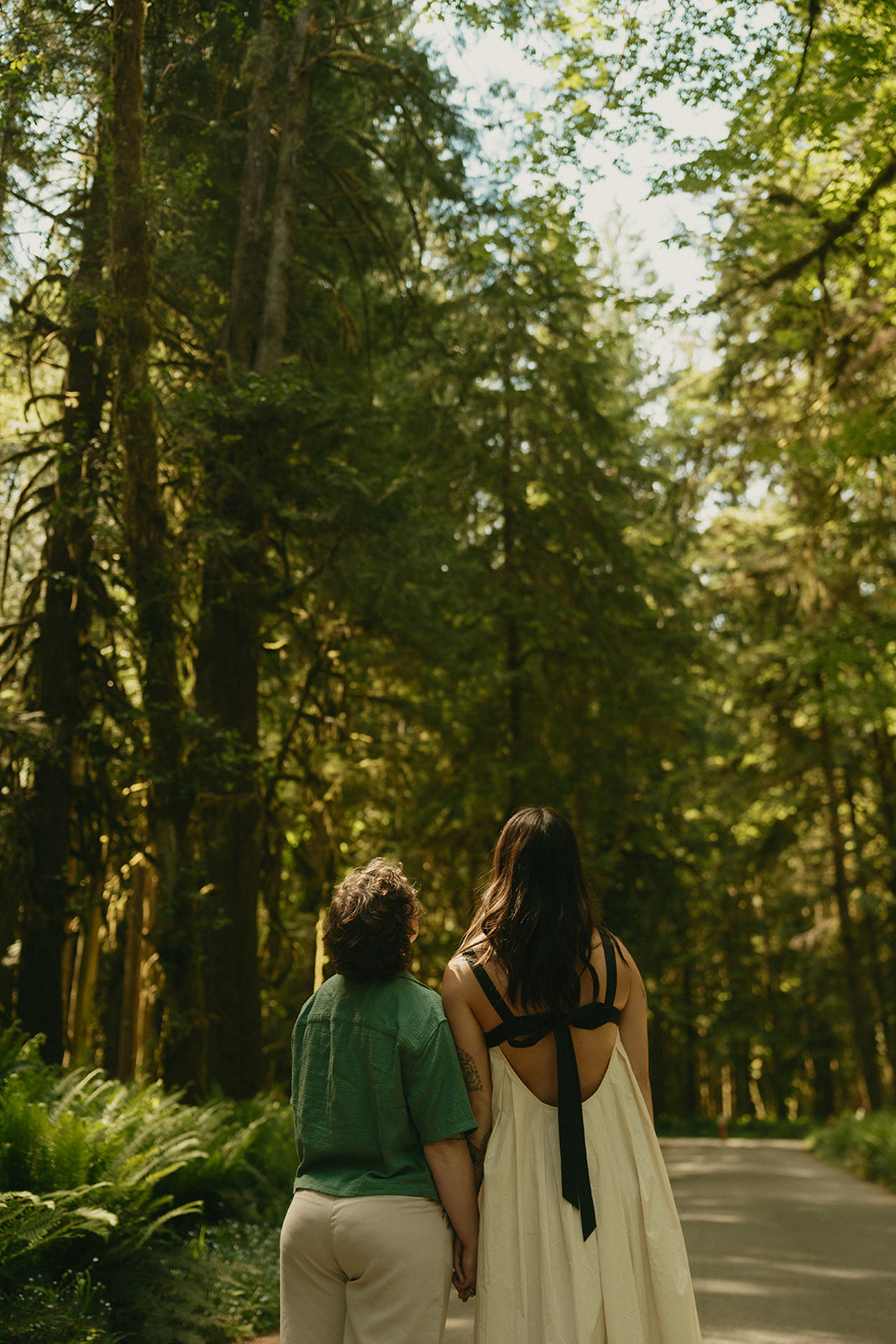 From behind, a couple walks hand in hand along a forest road, wrapped in the stillness of the trees.
