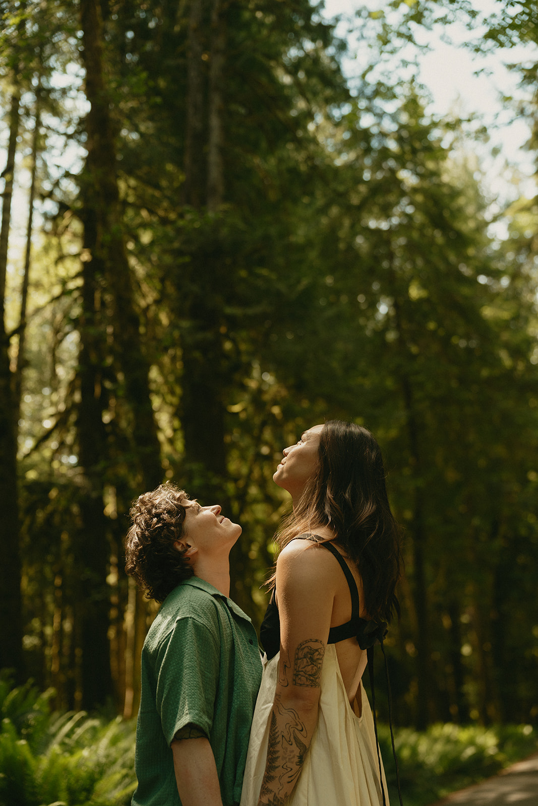 A couple looks up through the forest canopy, sunlight filtering through the tall evergreens around them.