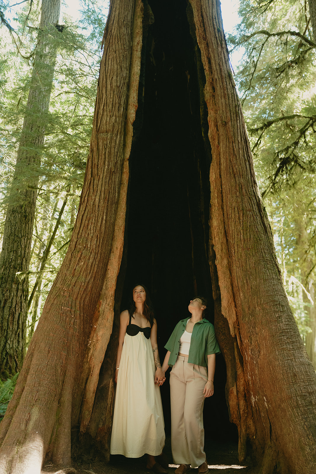 A couple stands hand in hand inside the hollow base of an enormous tree, looking up toward the sky in awe.