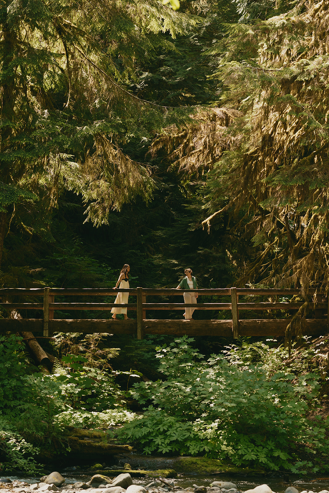 Two people walk across a wooden bridge surrounded by moss-draped trees and deep forest shadows.