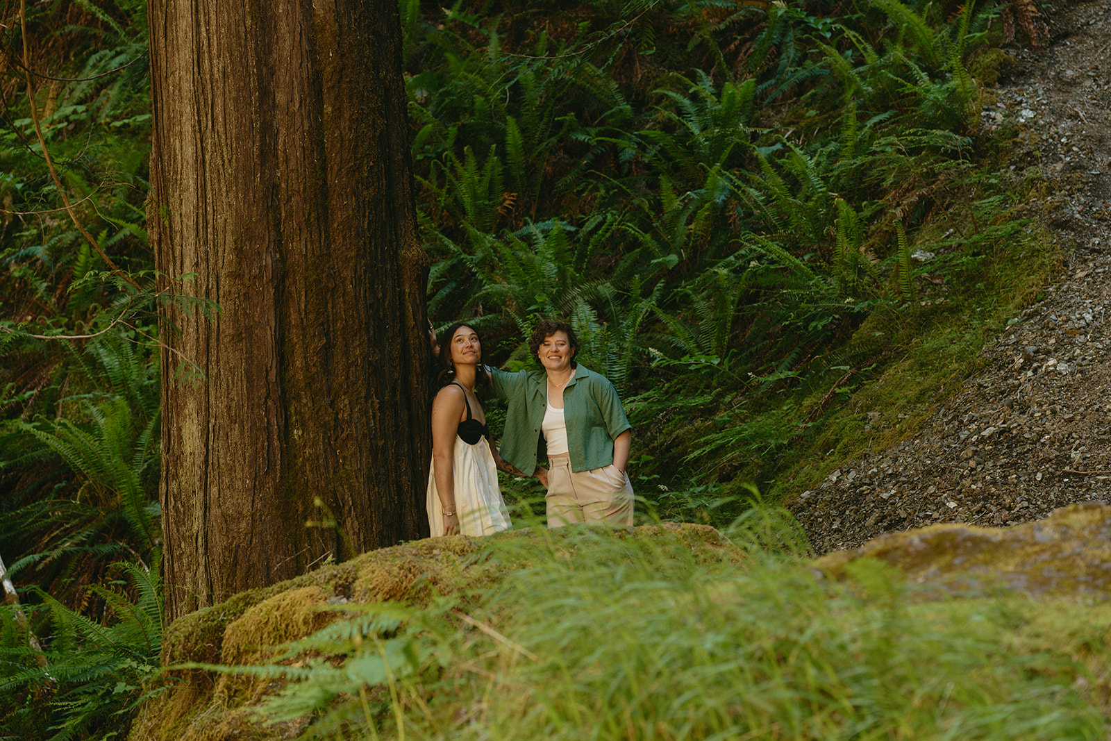 A couple stands together at the base of a giant cedar, surrounded by ferns and soft green moss.