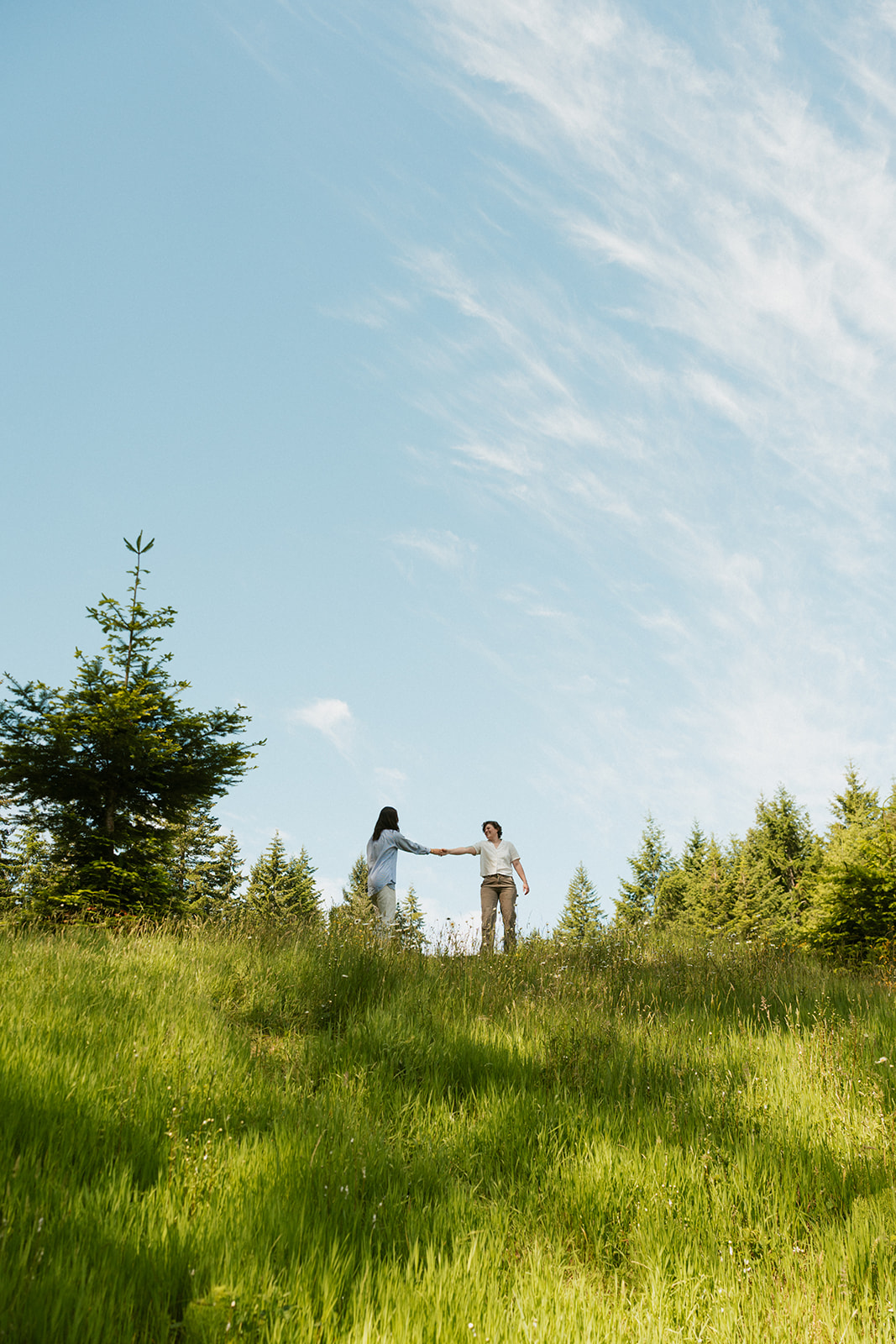 A wide meadow scene with a couple reaching for each other on a sunlit hill, framed by evergreens and a bright blue sky.
