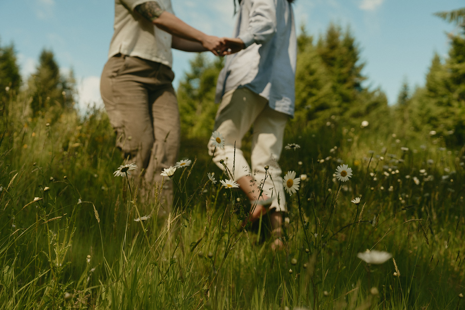 A blurred foreground of wild daisies frames a couple holding hands in a sunny meadow, their connection softly in focus.