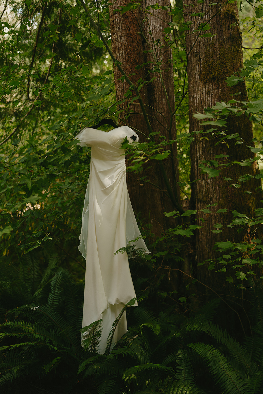 A simple off-the-shoulder wedding dress hangs in a mossy Washington forest.