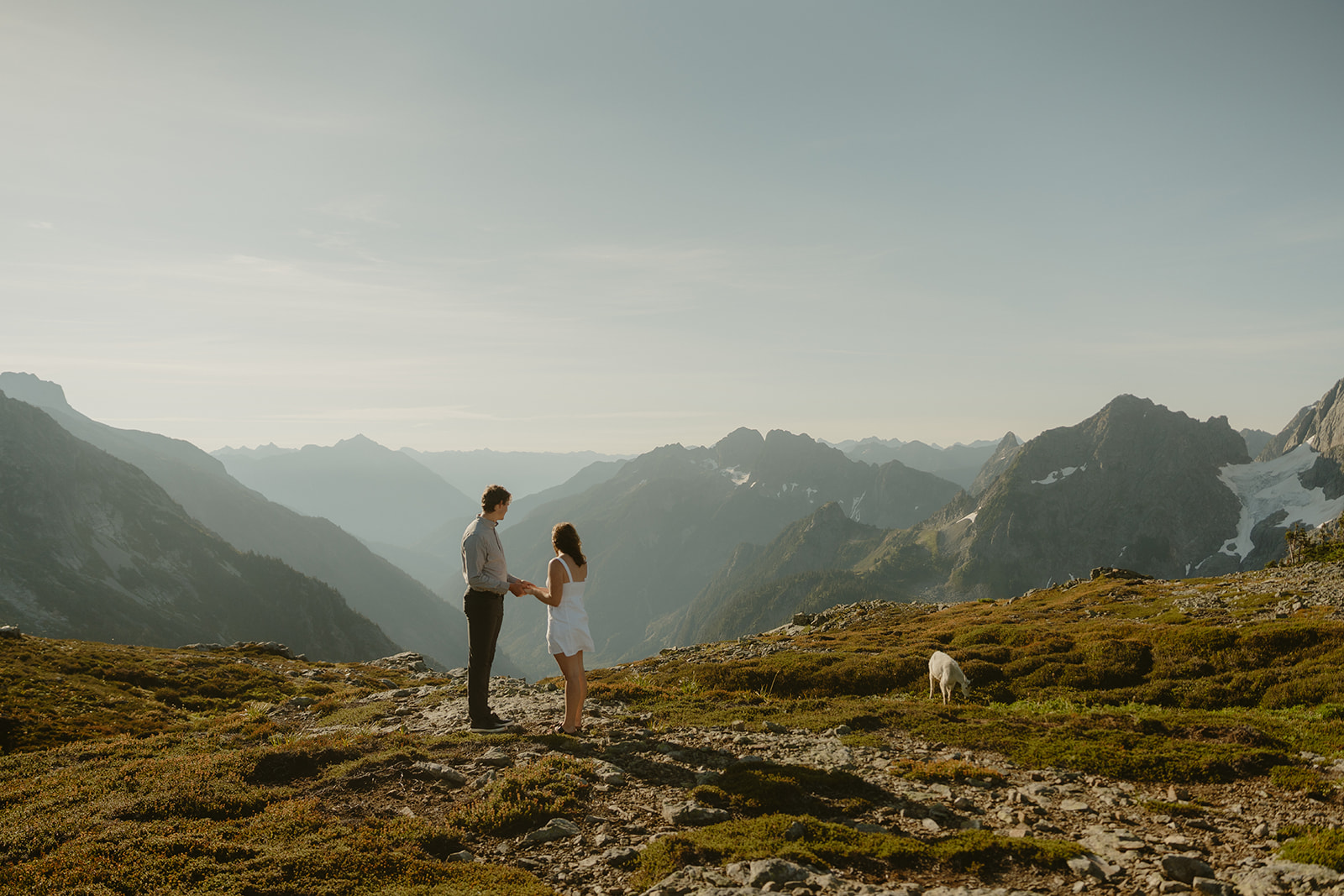 A couple holds hands on a mountain ridge at sunset, with sweeping views of the North Cascades and their dog nearby — a serene moment from their outdoor engagement photos.
