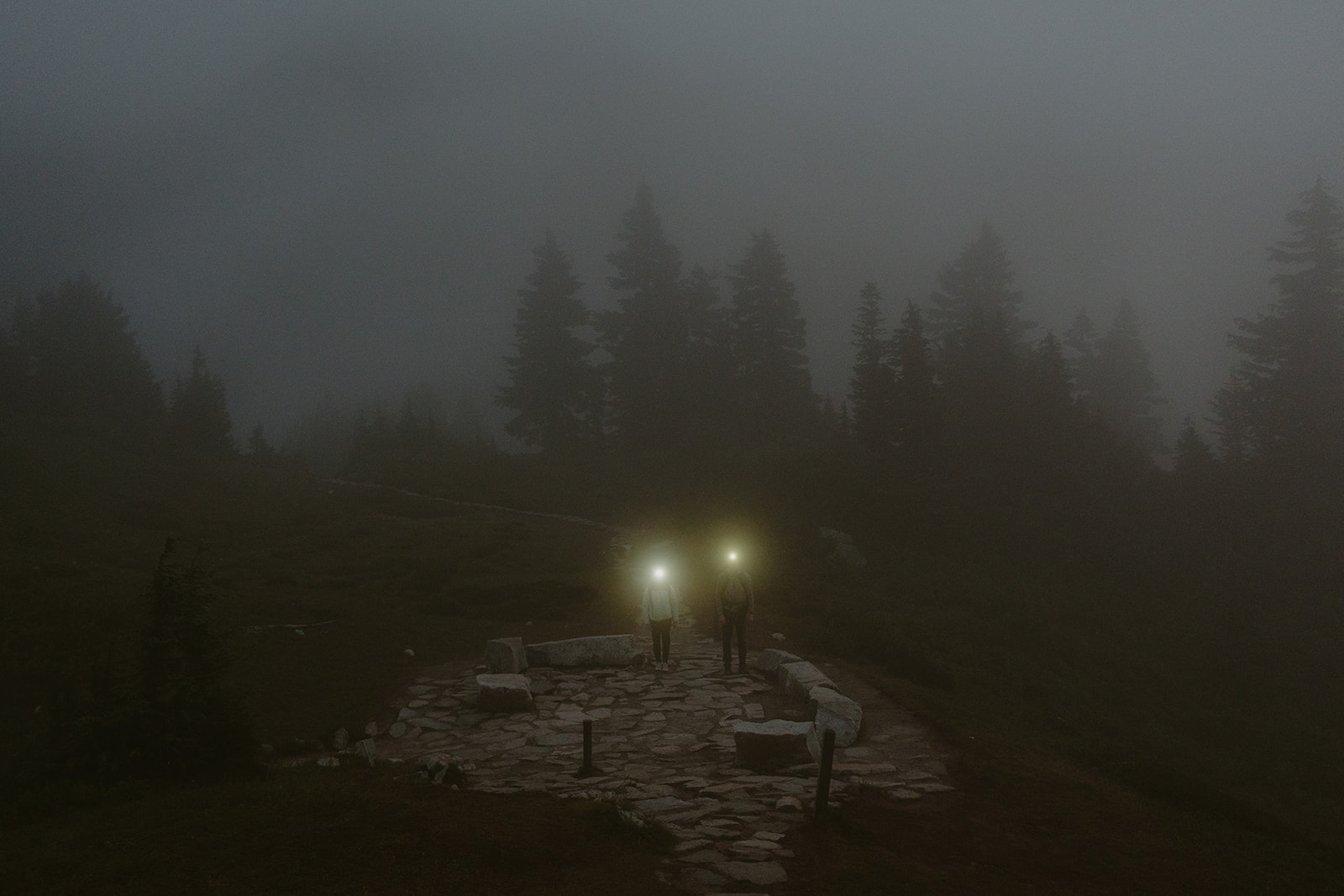 Two people walking along a foggy path, surrounded by a mysterious, muted atmosphere.