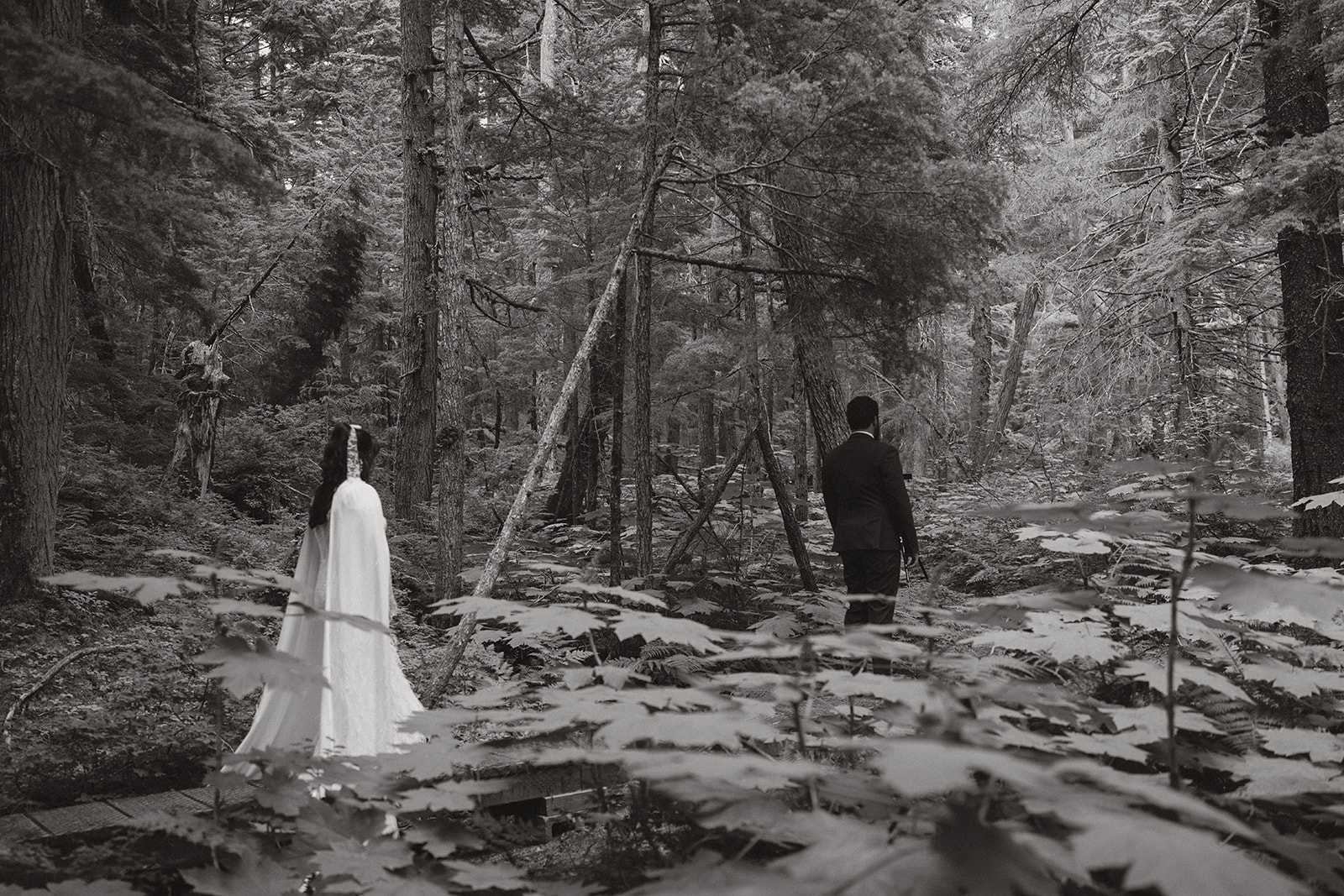 Bride walks quietly up to groom in peaceful and serene forest setting before eloping to alaska