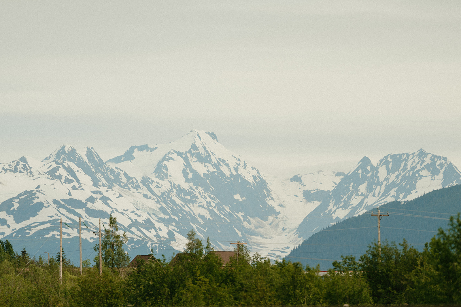 Scenic view of Alaska landscape showcasing snowcapped mountains and tall pines.