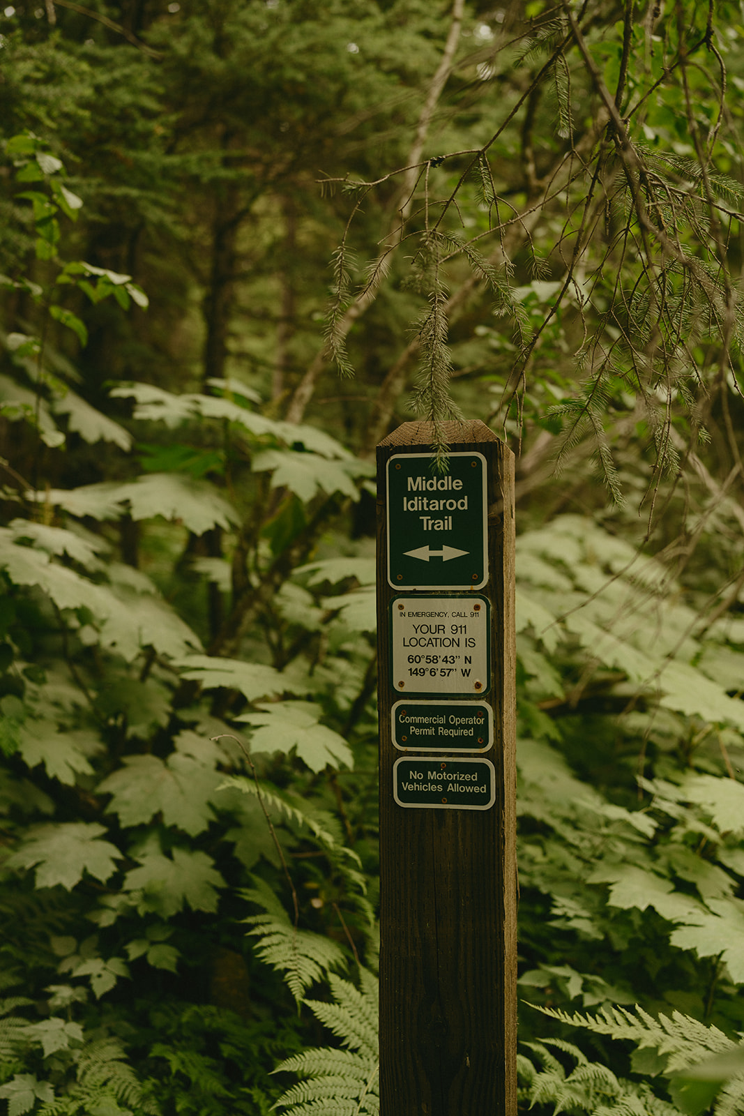 Trail head sign showing different directions to hike in forest of Alaska.