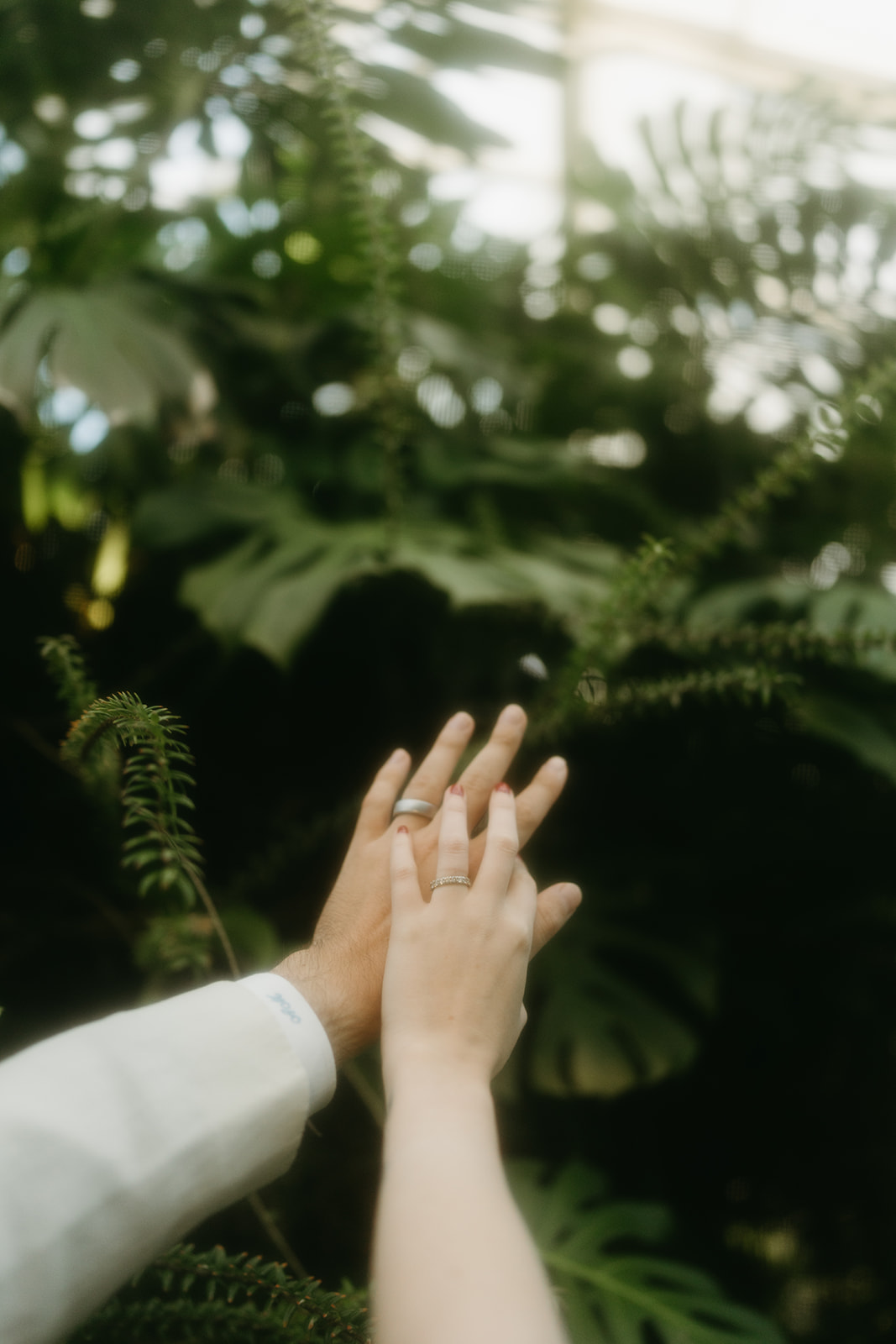 Soft focus image of two hands touching, both wearing wedding bands, surrounded by tropical leaves in a greenhouse wedding setting.