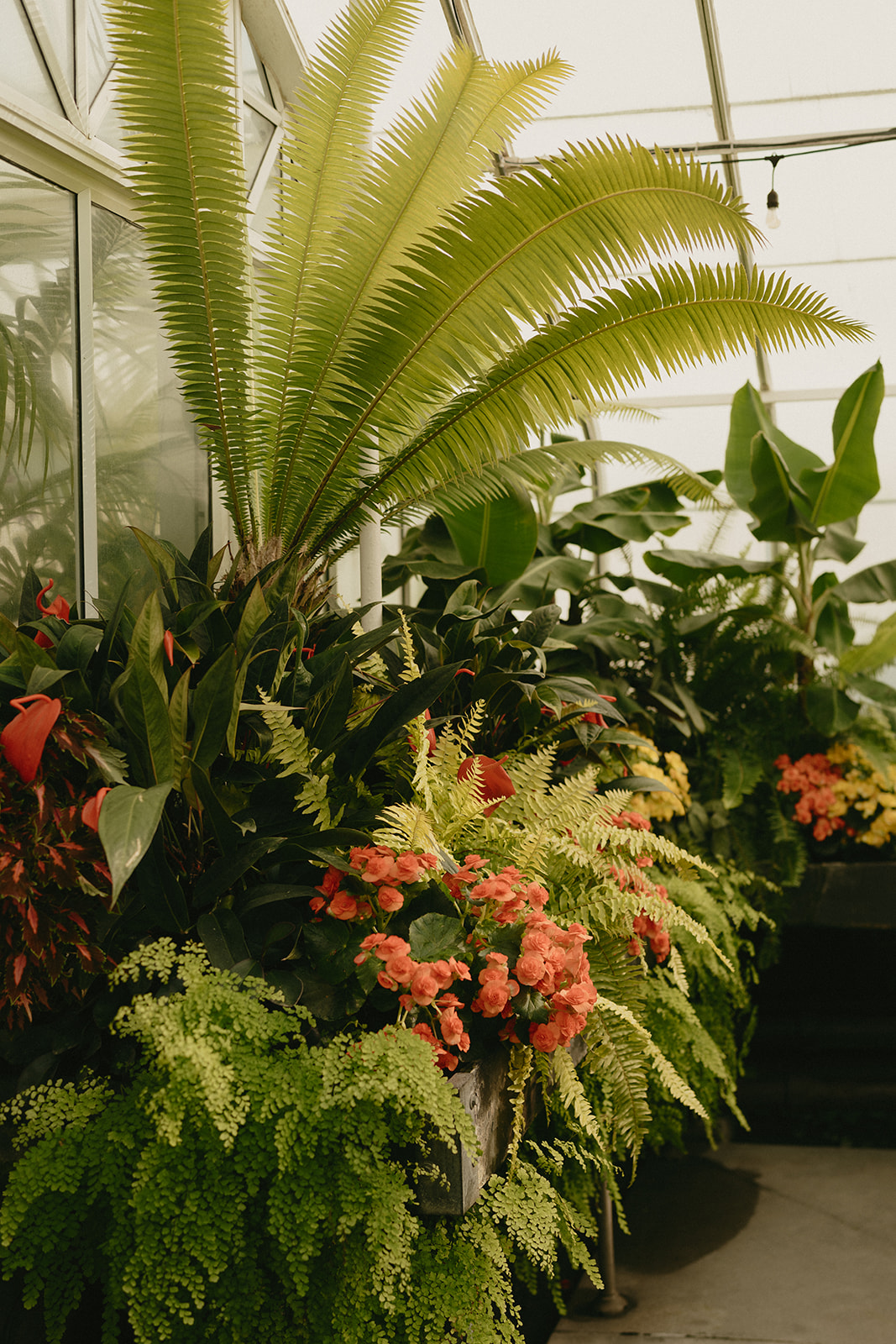 Close-up of lush foliage and bright florals inside the greenhouse, showcasing the natural beauty of the wedding venue.