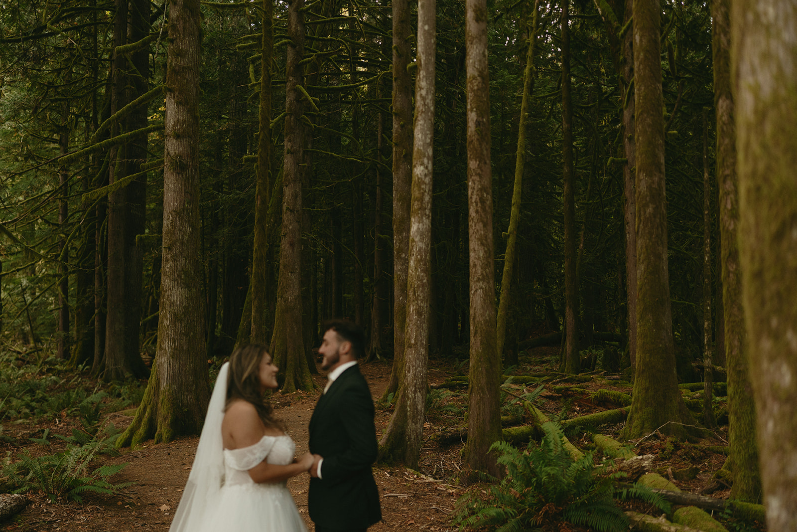 In the midst of a mossy forest, the couple stands together, hands joined and smiles wide, surrounded by towering evergreens.