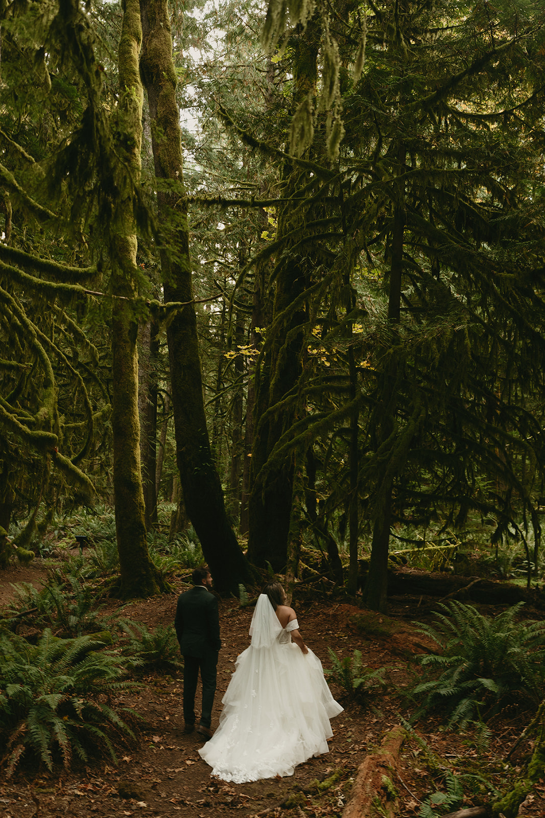 The couple stands hand-in-hand atop a mossy log, surrounded by tall trees and ferns during their Olympic National Park elopement.