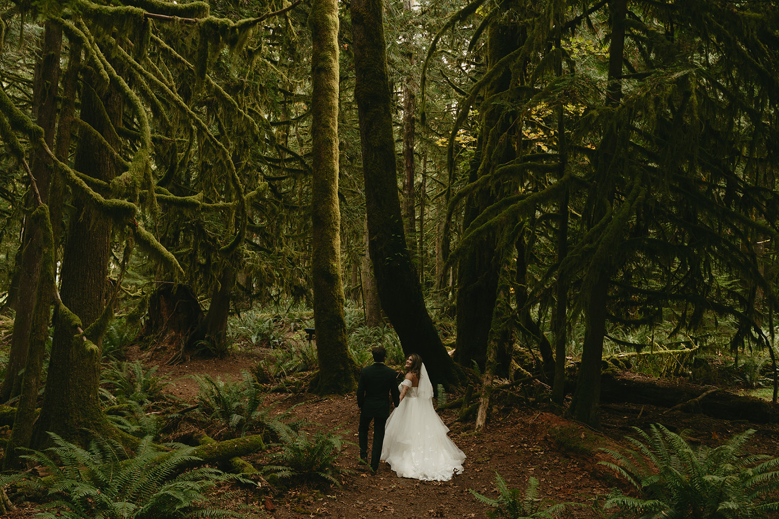 A wide forest scene with the couple walking along a mossy trail, surrounded by ferns and towering trees in Olympic National Park.