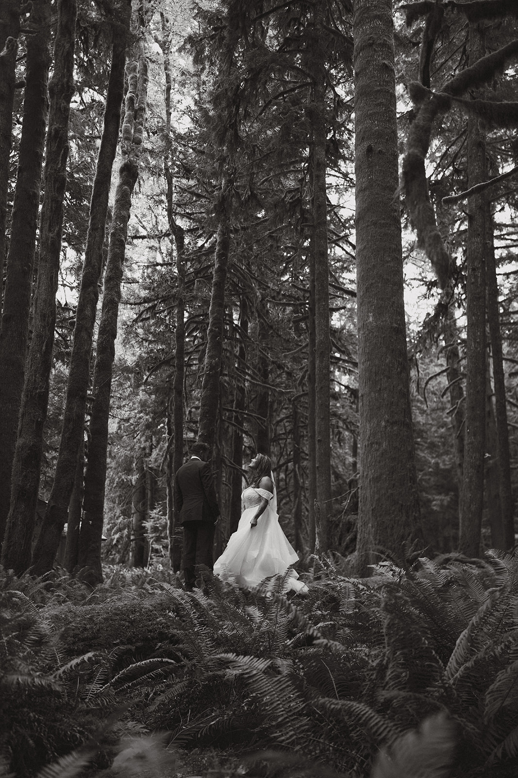 A black and white image of the couple standing in a quiet grove of tall trees, surrounded by ferns and filtered light.