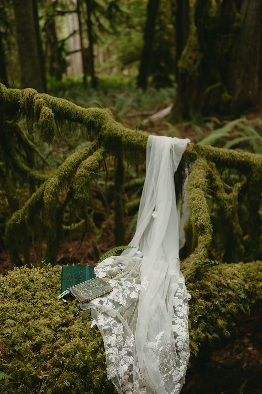 A sheer veil and lace detail rest on a moss-draped tree limb, surrounded by ferns and forest textures in the Pacific Northwest.