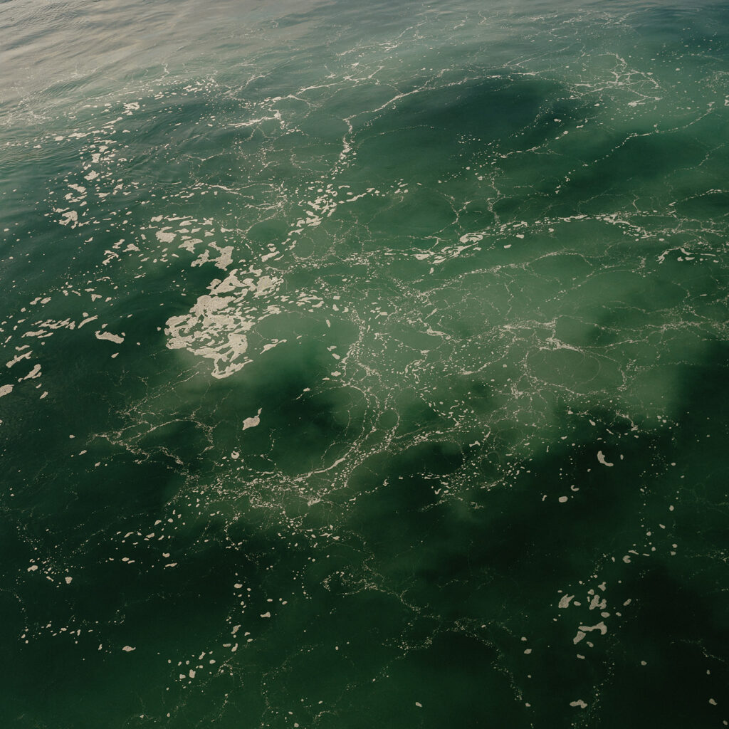 Detailed image of the green water of the San Juan Islands